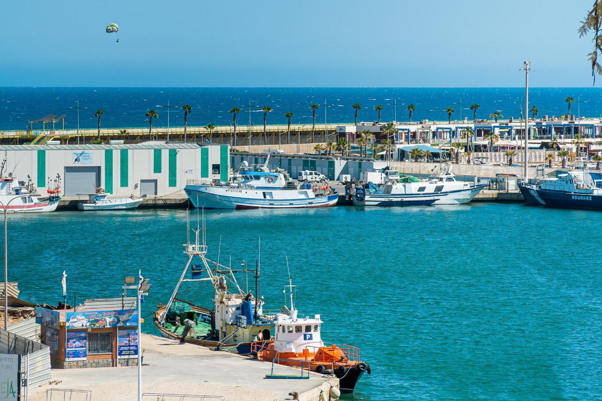 La Gaviota Lägenhet Torrevieja Exteriör bild